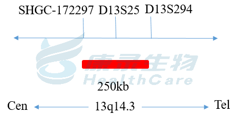 中国·拉斯维加斯(3499·官方认证)网站-Officialwebsite